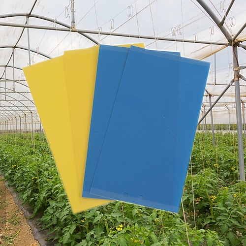 20 Stück Fruchtfliegenfalle Klebewurmbrett Gewächshaus gelbes Brett doppelseitig kleine schwarze Fliegenfalle gelbes und blaues Fallenbrett landwirtschaftlicher Haushalt Thripse 20 15cm Image