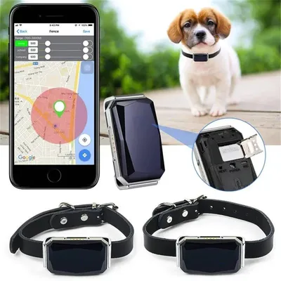 Intelligentes GPS-Haustier-Tracker-Halsband, Echtzeit-Tracking, 5 m Genauigkeit, IP67, wasserdicht, 10-Tage-Akku, Geofence-Warnungen, Hunde, Katzen, Positionierung