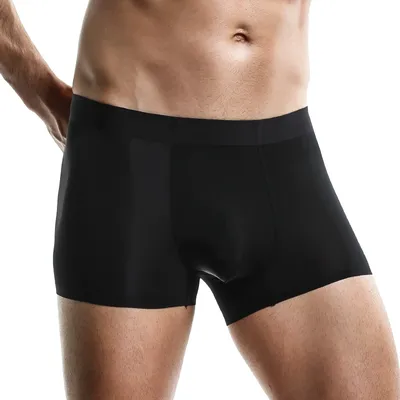 5er-Pack Herrenunterwäsche Herren Großhandel Boxershorts Eisseide Nahtlose Boxershorts Trendy Sexy Image