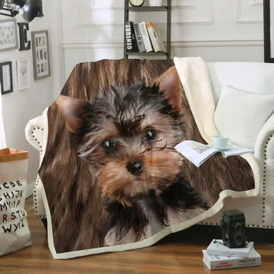 Miscellaneous+Home+Decor