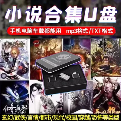 Car novel USB disk, popular novel complete TXT novel mp3