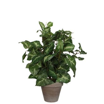 Mica Kunstpflanze Syngonium grün im Topf 35 x 25 cm Kunstpflanzen Image