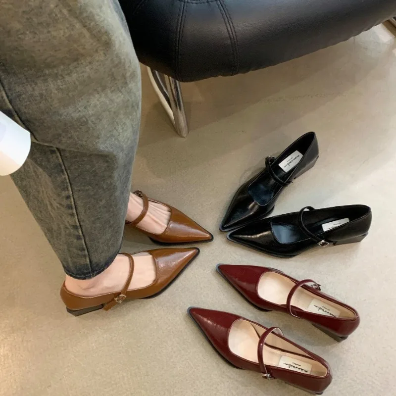 Retro Style Thick Heel Spring and Autumn Women Mary Jane Shoes Fashion Shallow Pointed Toe Ladies Comfort Office Pumps Footwear