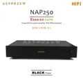 Amplificatore di potenza HIFI NAP250 di classe AB Base su UK NAIM Con protezione SPK 80W+80W 8 ohm