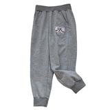 Cotton Baby Days Girls Plus Size Sweatpants Fall Winter Cute Print Elastic Waisted Wide Leg Workout Jogger Pants for Gifts Gray 2 5 Years