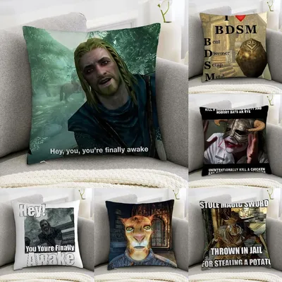 Hey You Youre Endlich Awake Skyrim Meme Kissenbezug, Sofa, dekorativ, Zuhause, doppelseitiger Druck, Image