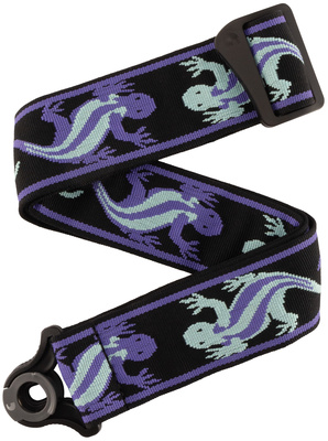 Daddario 50BALPW02 Vint PW Lizard Teal