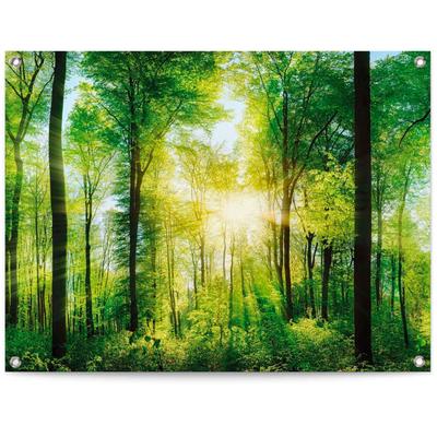 Poster REINDERS "Sommerwald", grün (farbe bild(er): grün), B:80cm H:60cm T:0,1cm, Leinwand, Bilder Image