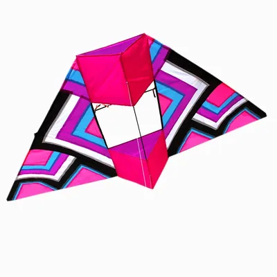 Professional Kite Outdoor Fun Sports 2.4m 3D Power Kite With Handle and Line Good Flying