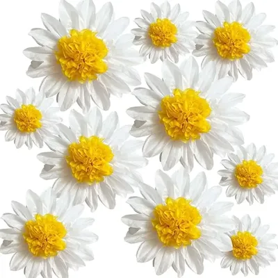10 pcs Tissue Paper Pom Poms Party Decorations White Yellow Flowers Wall Hanging 1st Birthday Bridal