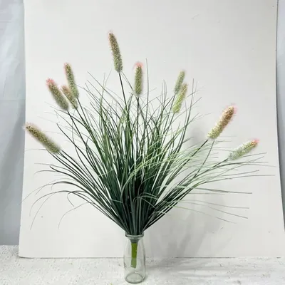 Flowers+Plants