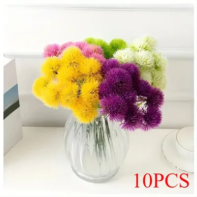 Flowers+Plants