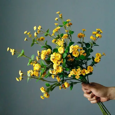 Vases