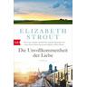 Die Unvollkommenheit der Liebe - Elizabeth Strout