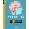 Das Gehirn - Ken Ashwell