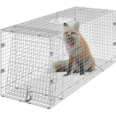 Live Animal Cage Trap, 42" x 16" x 18" Humane Cat Trap Galvanized Iron, Folding Animal Trap Cage