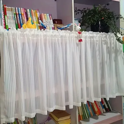 Window+Blinds