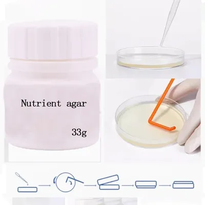 Determination Of Total Bacterial Count On 250g Nutrient Agar And Preservation Of Bacterial Strains