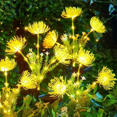 Landscape+Lighting+Accessories