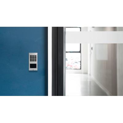 DOORBIRD Tür Controller "IP Zutrittskontrollsystem A1121 Unterputz, Edelstahl", silber, B:24cm H:10cm T:28,8cm, Smart-Home-Stationen Image