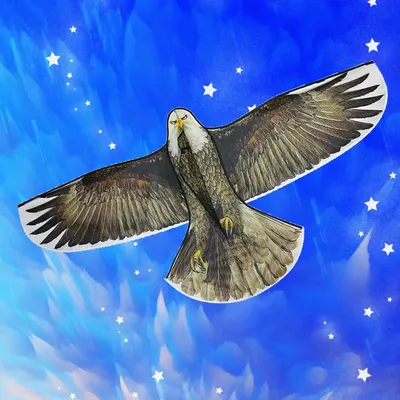 Eagle Kite Adult Reel Steering Large Stunt Wind For Big Size Kites Professional Accesories Kite