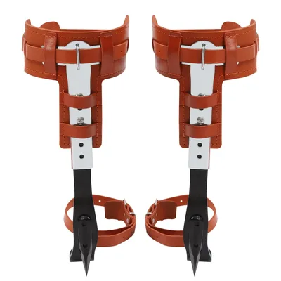Mountain+Climbing+Gear