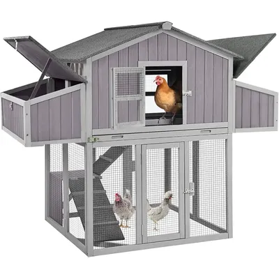 Chicken Coop Folding Chicken House, Hen Coop Poultry Cage for 4-6 Chickens, Foldable Hen House 26ft²