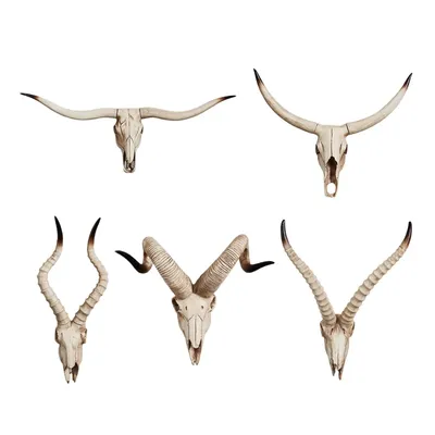Wall+Sculptures+Masks