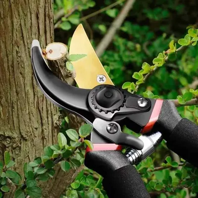 Garden+Tools
