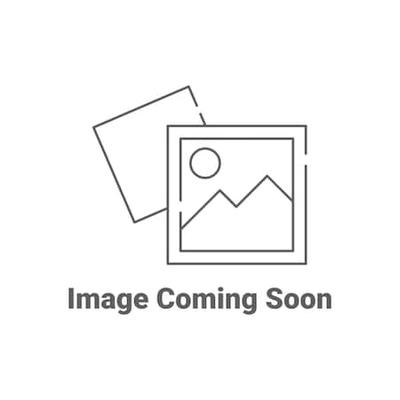 DEWALT DCF860BLR Impact Driver (Tool Only)