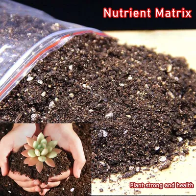 Fertilizers