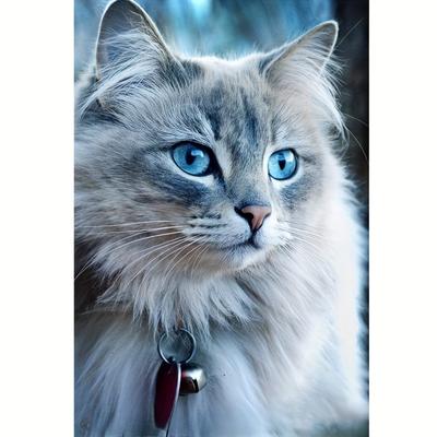 TEMU 1set 5d Diy Diamond Painting Kit - Acrylic Drill Art Craft Set, Cute Cat Pattern, Wall Decor, Perfect Gift Image