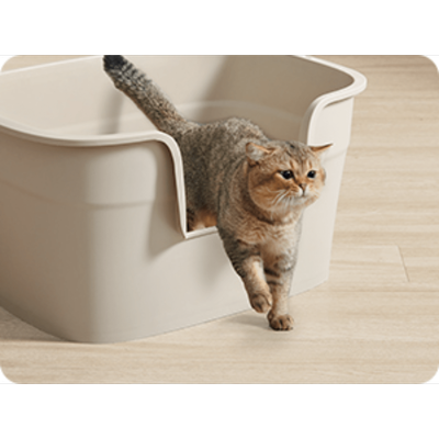 TEMU Cat Litter Box, Extra Large Cat Toilet, With High , Cat Litter Mat, Storage Box, Shovel, For Large Cats Image