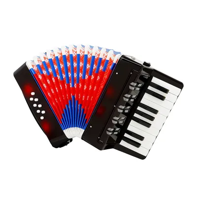 17 Keys 8 Bass Accordion 104 Accordion Musical Piano Keyboard Toy Rhythm Training Spring Keyboard