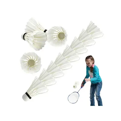 12Pcs/set Feather Badminton Shuttlecocks Set Hight Speed Feather Training Shuttle Balls For Indoor