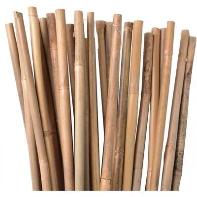 Suinga - 25 Stück Bambusstützen für Pflanzen 200 cm (8-10 mm) – Bambusstäbe, Stützen für Pflanzen, Image