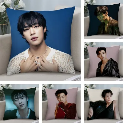 W-Woo Do H-Hwan Kissenbezug, kurze Plüsch-Kissenbezüge, Sofa, dekorativ, Geschenk, Zuhause, Image