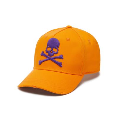 Cap Paisley Image