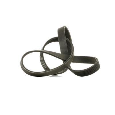 RIDEX PLUS Keilrippenriemen VW,AUDI,FORD 305P0406P 022145933H,948F6C301AB,252122B140 Rippenriemen 252122B740,88WX6C301E1B,YM216C301EA,127177014 Image