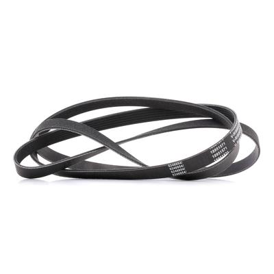 RIDEX PLUS Keilrippenriemen MERCEDES-BENZ,OPEL,FORD 305P0101P 0009933696,XW4Z8620CA,53010234 Rippenriemen 1854713,5L8Q6C301AB,1172069T04,XW4E8620AD Image