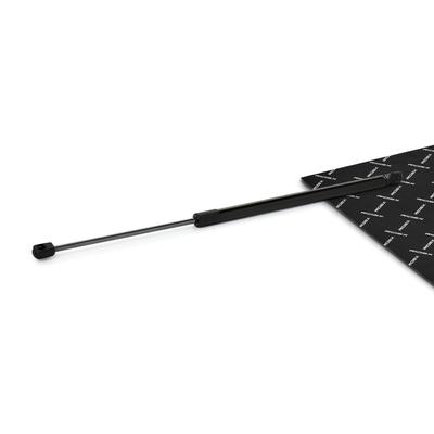 RIDEX Heckklappendämpfer PEUGEOT 219G1100 8731J3,9649587680 Image