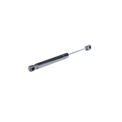 RIDEX Heckklappendämpfer ALFA ROMEO 219G0248 60567794 Image