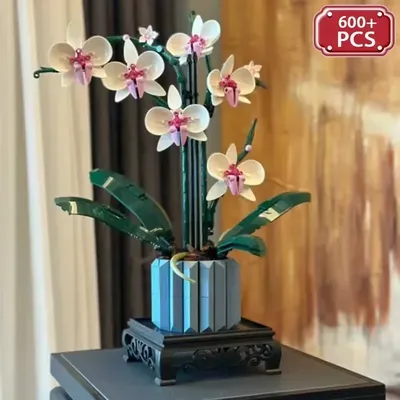 Flowers+Plants