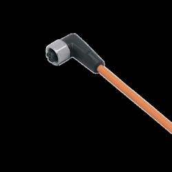 Ifm Electronic Kabeldose M12 EVT009 Image
