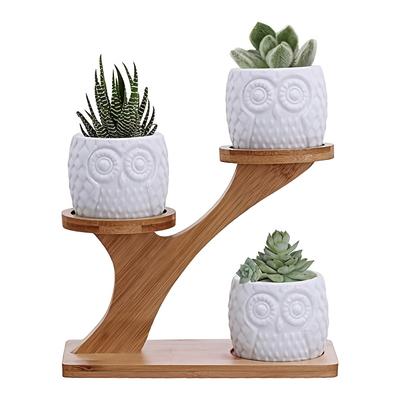 TEMU Kpuy Owl Flowerpot With 3 Bamboo Saucer Support And Flowerpot With Drainage And Bamboo Support Is Very Suitable For Office And Home Decoration, Which Is An For Gifts. Image