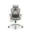 Sihoo M57 Office Furniture Adjustable Lumbar Support Ergonomic Mesh Office Chair