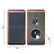Altoparlanti da scaffale da 10 pollici 250W Febbre Hifi a tre vie Sistema Home Theatre Musica