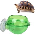 Mangeoire pour lézards, bol à boire pour tortues, bols pour animaux de compagnie, accessoires pour