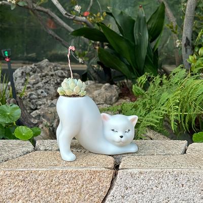 TEMU 1pc/bohemian Cute Cat Flower Pot Planting And Propagation Area, Lightweight And Versatile, Synthetic Resin Anti-fall Version, Suitable For Indoor/outdoor Use Image