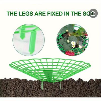 TEMU 20pcs Strawberry Plant Stand, With 3 Sturdy Legs, Provides Protection For Strawberries From Mold, Rot And Dirt, Suitable For Growing Strawberries. Image